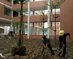 學院種植綠化工程